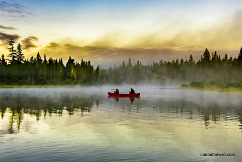 Canoe the Wild
